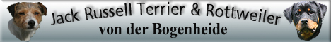 Jack Russell & Rottweiler von der Bogenheide