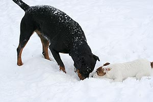 Anja und Betty