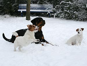 Betty, Anja und Alina