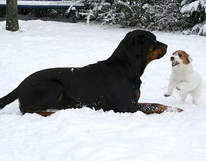 Anja und Betty