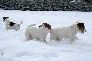 Emma, Alina und Betty