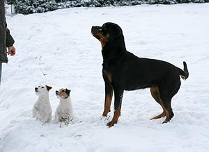 Alina, Emma und Anja