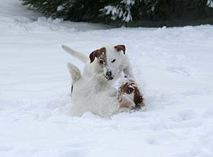 Alina und Betty