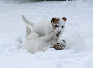 Alina und Betty