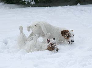 Alina und Betty